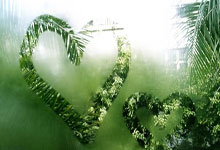 爱游戏中国-印度队横扫泰国队，陈雨菲关键制胜