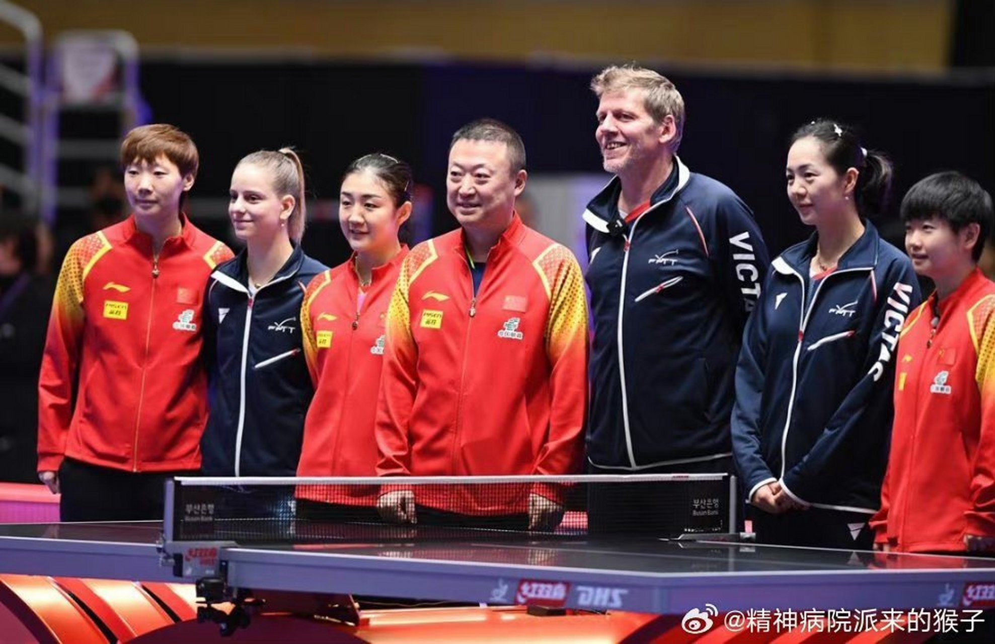 关于法国队力克中国队，马琳惊艳四座的信息