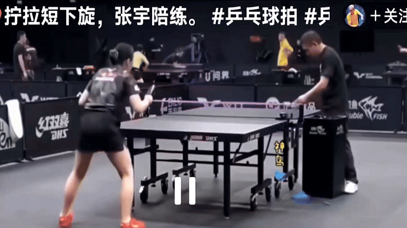 瑞典乒乓球队翻盘法国乒乓球队，张继科统治全场的简单介绍